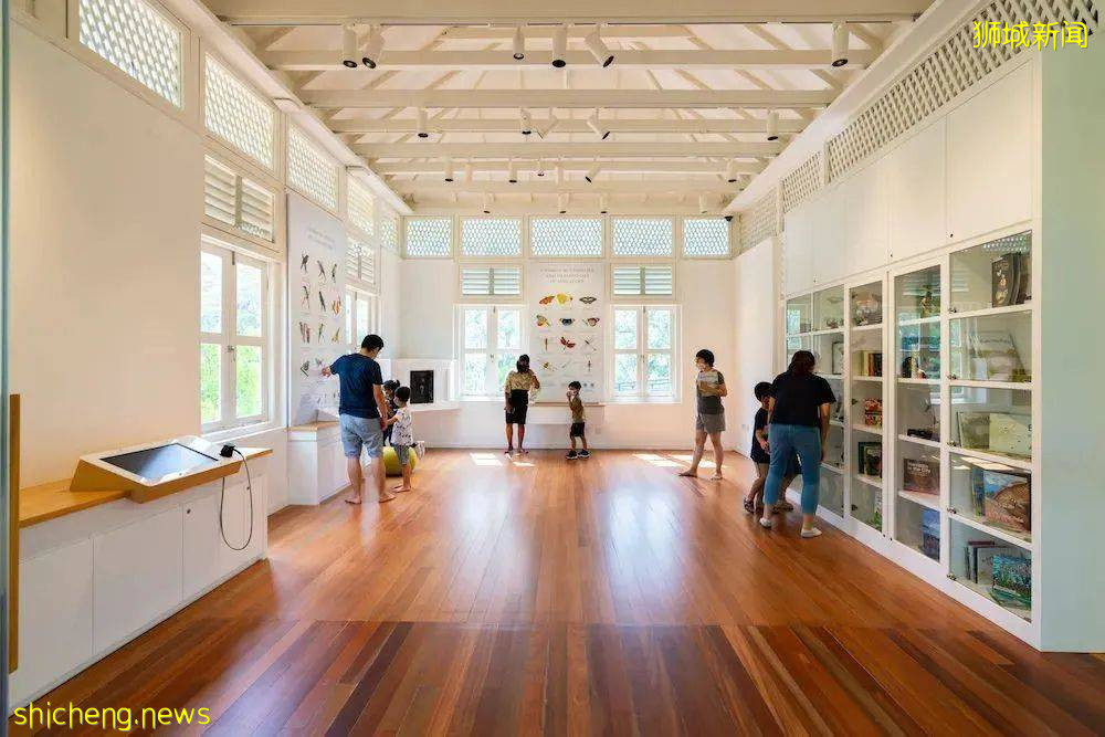 叢林遊樂場、自然博物館、山路徒步……新加坡這個公園翻新後更好玩啦