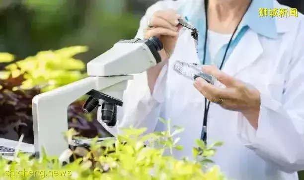23Fall提前批申请通道开放！新国大理学院硕士全面招生中