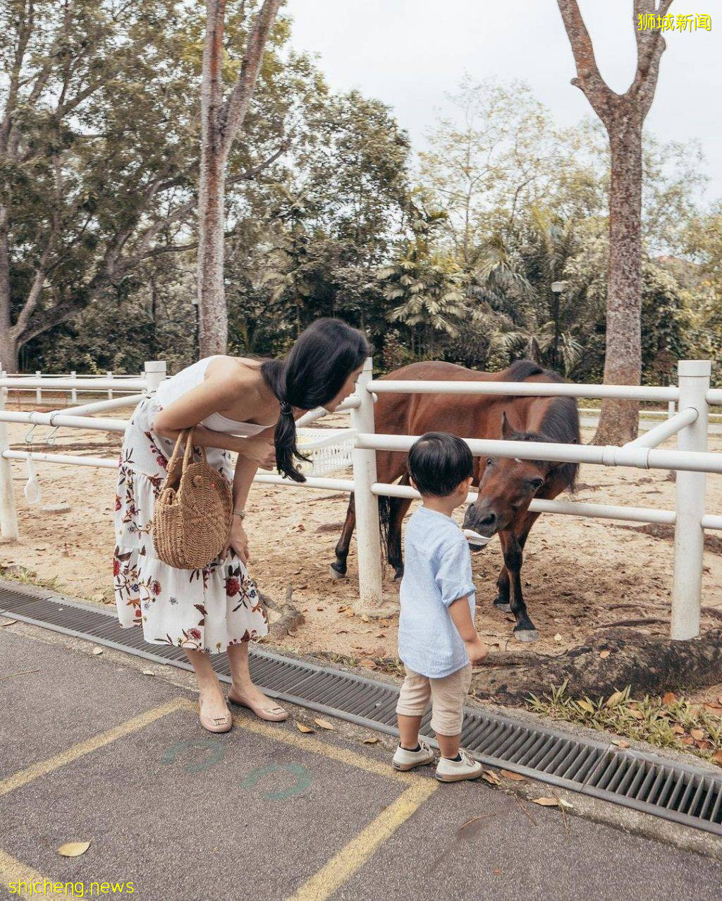 攻略收好、出發開啓親近動物之旅🦩從白天玩到晚上、10大景點近距離接觸小動物