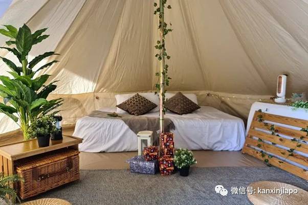 黑五最全特輯 小CK半價，Dyson、Sephora等各大品牌低至三折