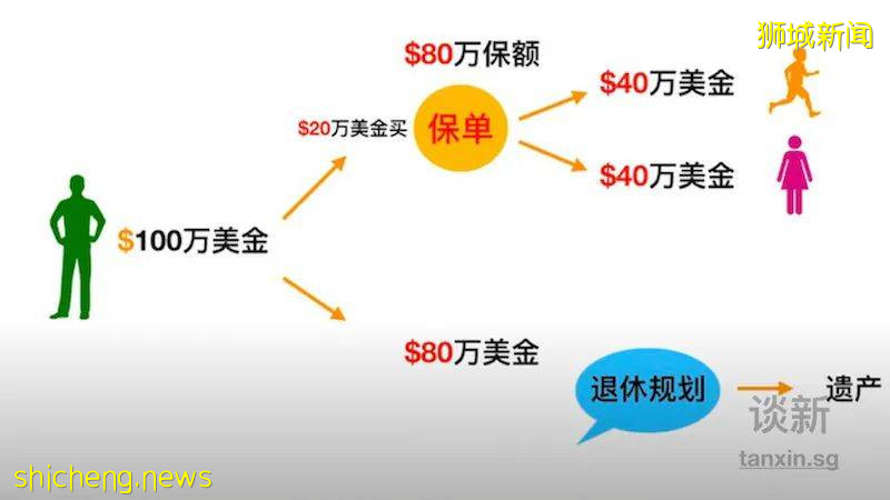 新加坡传承型的保单有哪些