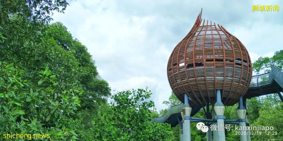 双溪布洛湿地公园，新加坡西部周末休闲的好去处