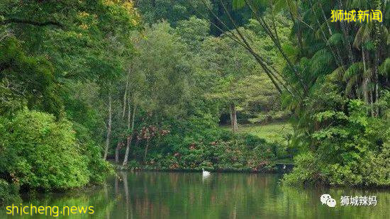 新加坡本地孩子都愛去玩的10個兒童公園，鍛煉身體，結識新朋友