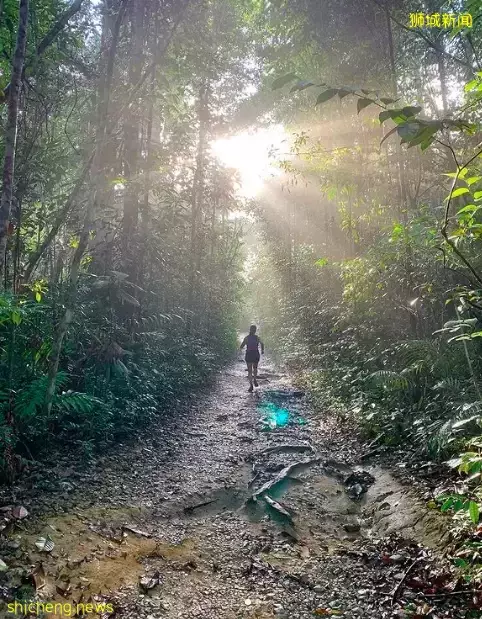 玩在狮城 周末回归自然——为你搜罗坡岛那些最适合徒步欣赏美景的好去处