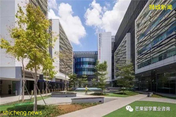 新加坡国际学校课程体系介绍