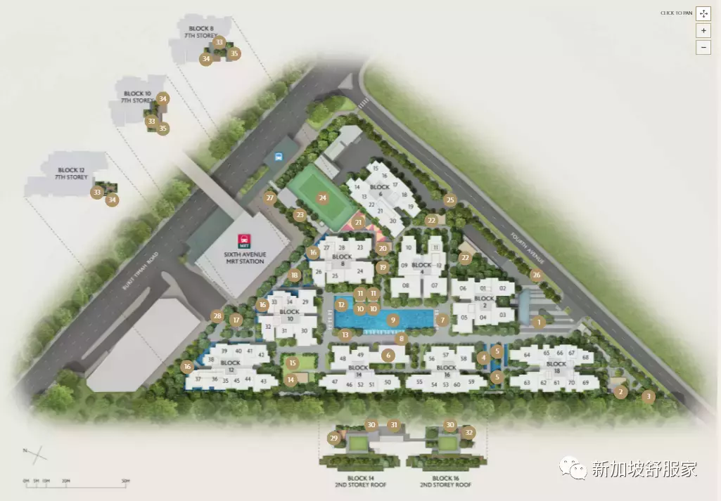 新加坡萊佛士女小“天才班”學區詳解