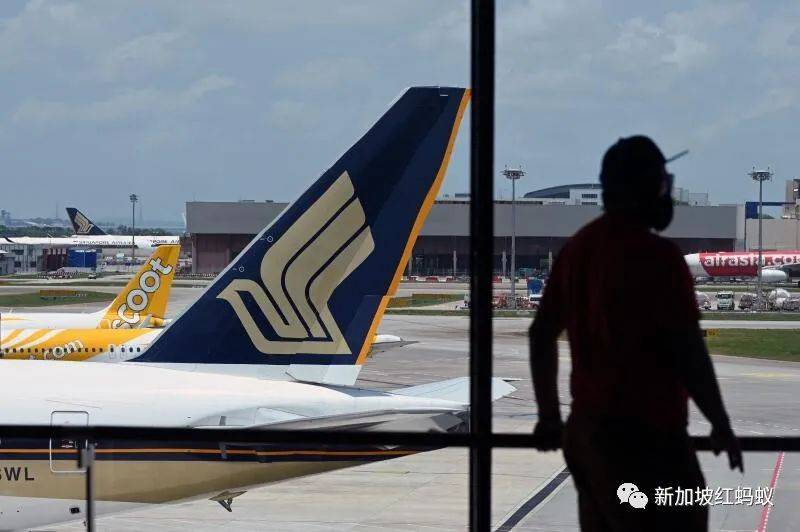 新加坡政府與周邊國家積極洽談“旅遊泡泡”　國人卻不急著飛