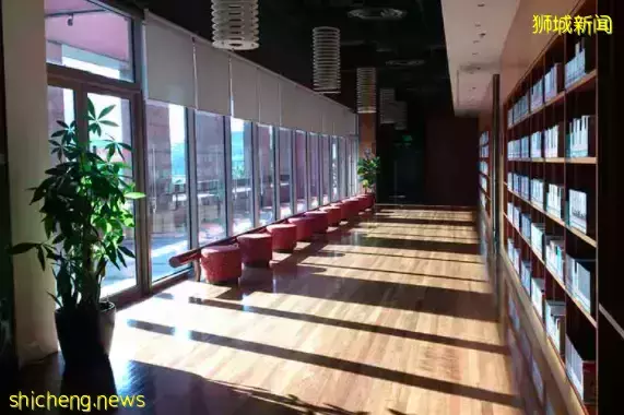 新加坡竟有這麽多各具特色的小衆圖書館！快來一起漫遊書海吧