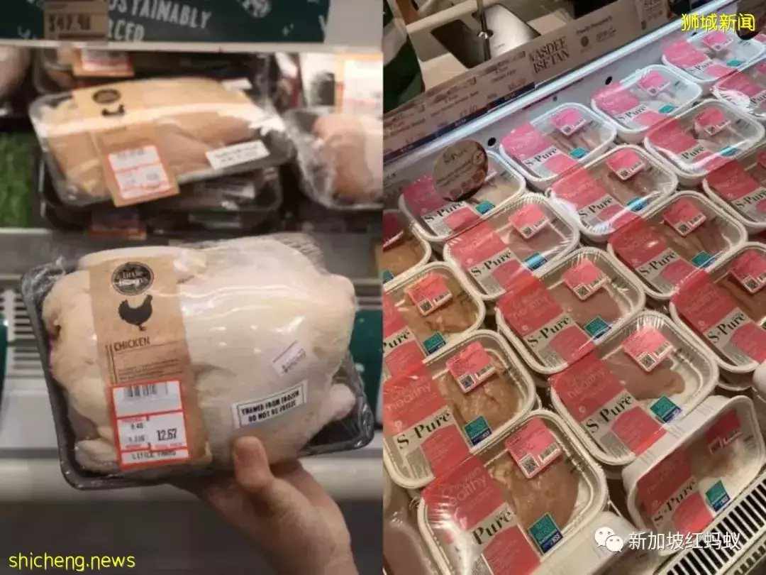 東家沒有雞就上西家買！　新加坡找來泰國和澳洲冰鮮雞救急