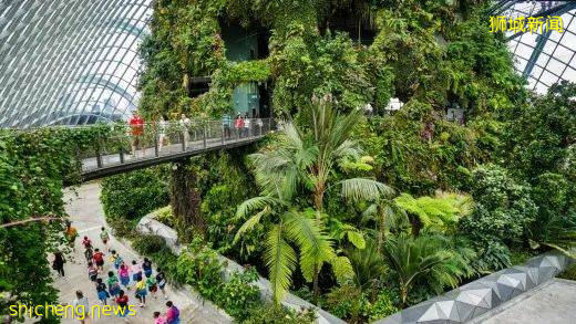 小小新加坡居然有5個瀑布,隱藏著世界最大的室內瀑布