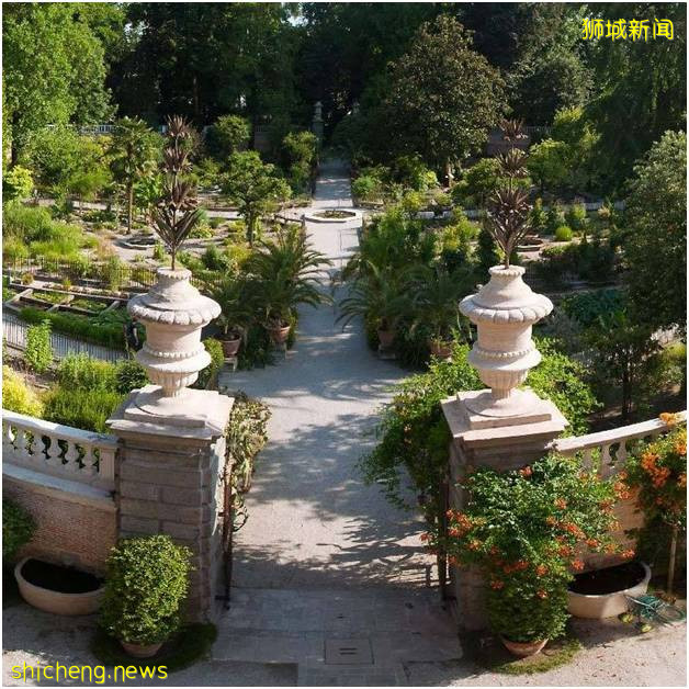 新加坡植物園（上）!