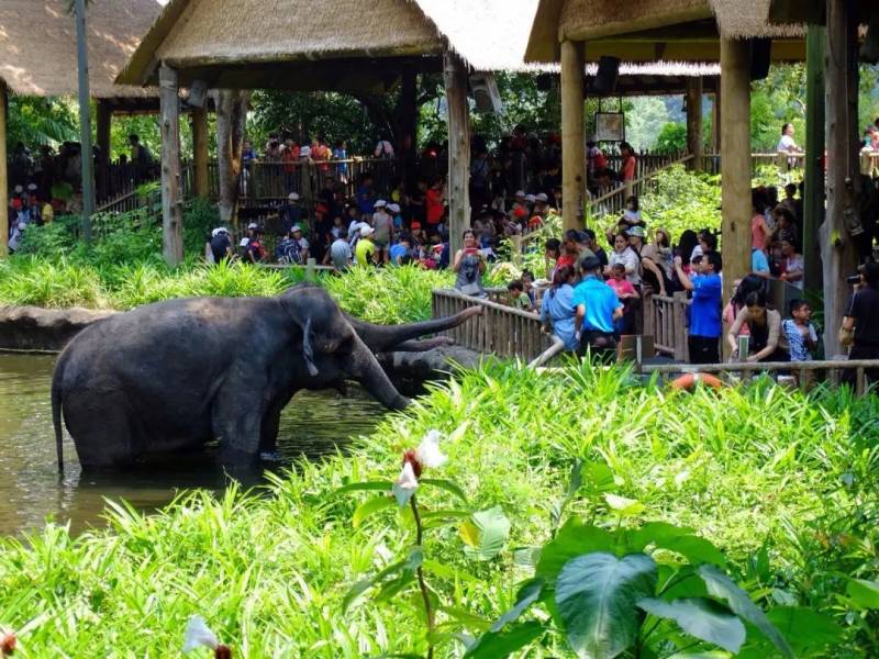 【新加坡景點指南】新加坡15個好玩兒的最受歡迎的景區景點,獨具特色