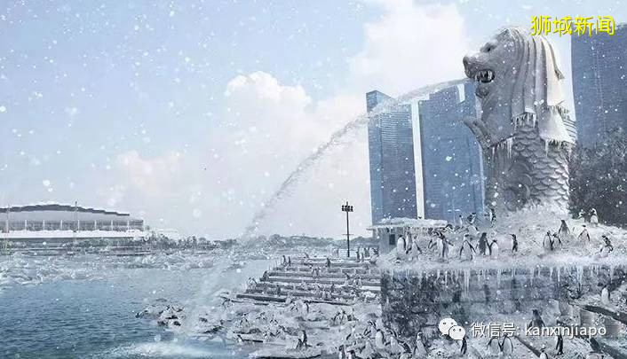 美呆,新加坡碧山开始飘雪花