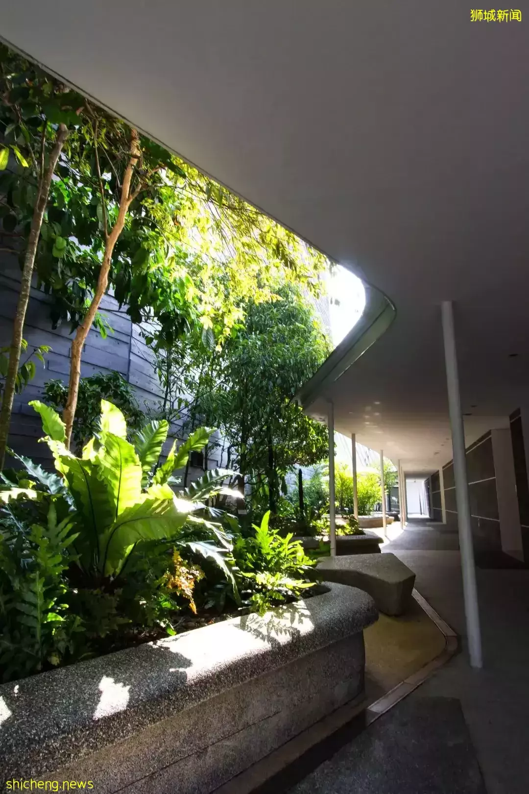 新加坡李光前自然曆史博物館 / Tierra Design (S) Pte Ltd