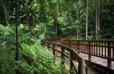 新加坡各區家庭收入曝光！最有錢的是這幾個地方