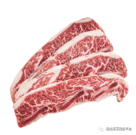 海鸏商城 101购物狂欢节!