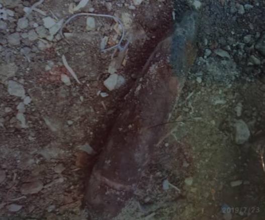 新加坡红灯区惊险二战炸弹...啪 啪的风险也太大了