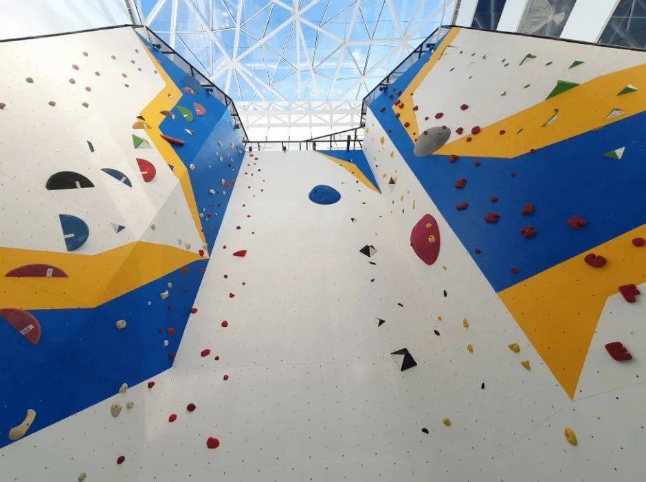 新加坡1月必看!这12个活动走起,炫彩霓虹、水獭快闪、最大狗狗水上乐园