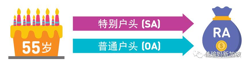 70岁还要去食阁端盘子?深扒新移民在新加坡如何养老
