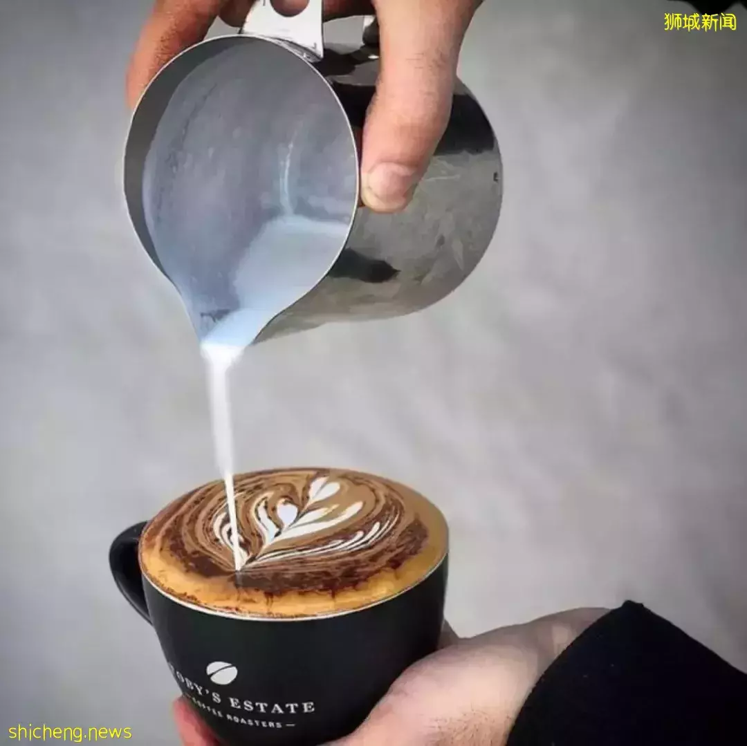 狮城の澳洲风情咖啡馆有哪些？一起来开启澳式慵懒午后吧