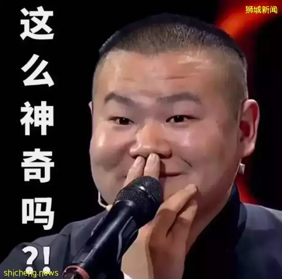 “逛遍新加坡大大小小的超市和市场，我总结了这份最全购买攻略~”