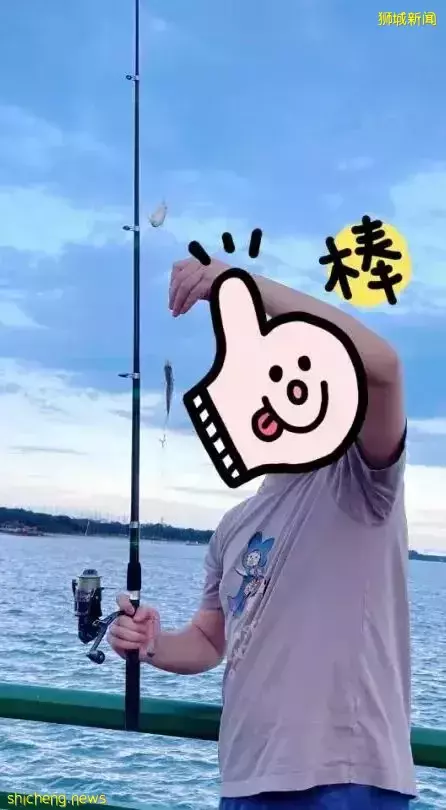 新加坡这个地方好神奇,新手钓鱼也能满载而归