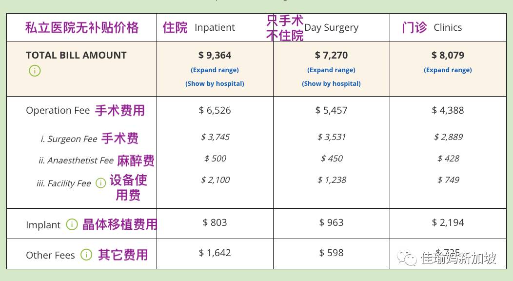 70岁还要去食阁端盘子?深扒新移民在新加坡如何养老
