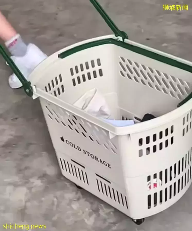 新加坡學生花式“無背包日”，看看誰上學最拉風