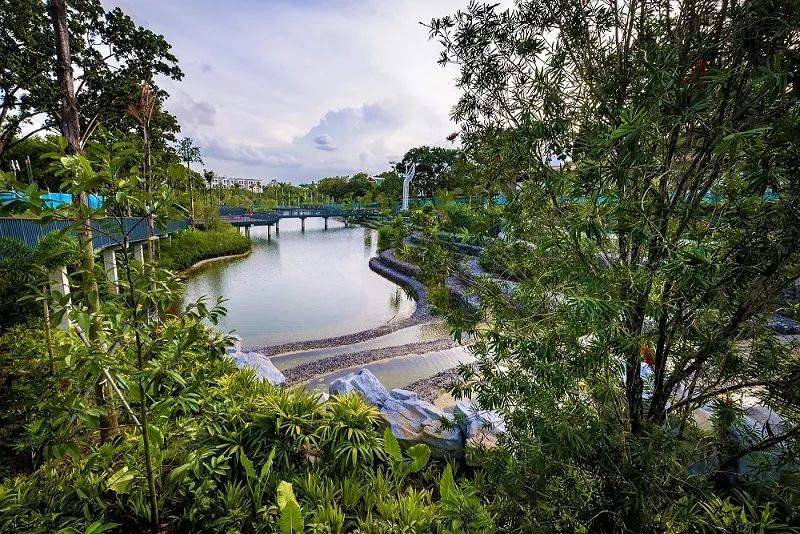 终于等到你！四年后NTU云南园华丽回归