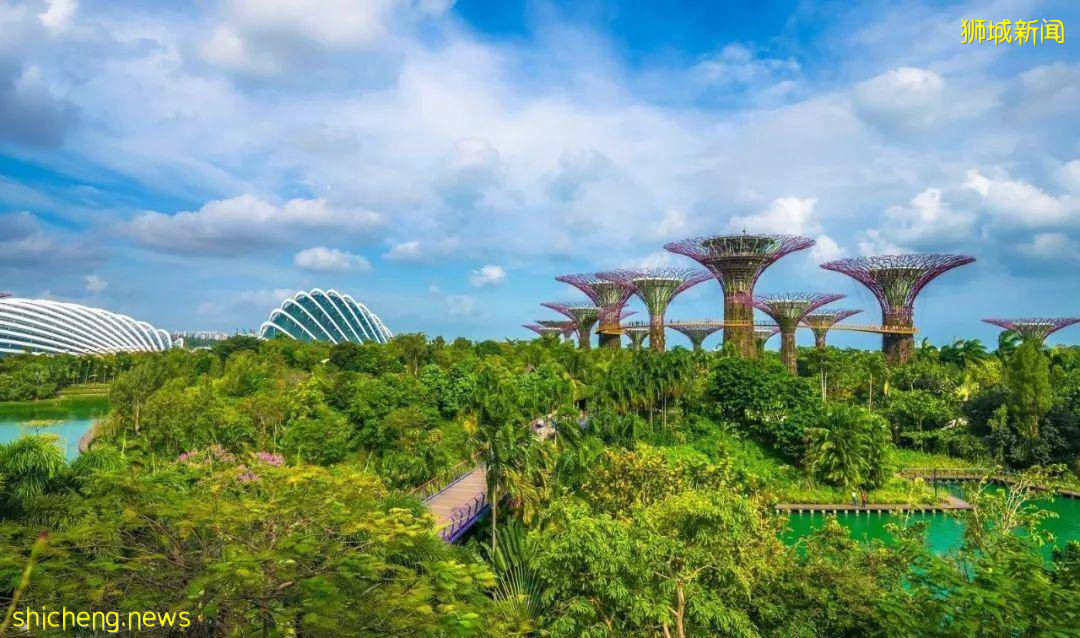 新加坡 解封後的新加坡未來社會和經濟發展的趨勢走向