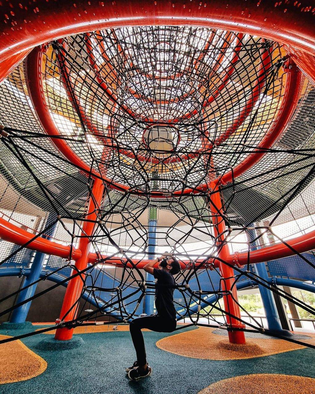 4月份吃喝玩樂合集🎊 超多好康福利等著你！大型國花展免費入場、美食優惠、全新樂園登場🤩