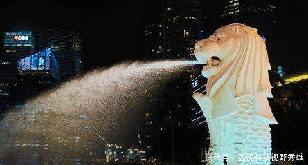 新加坡的未来，将何去何从