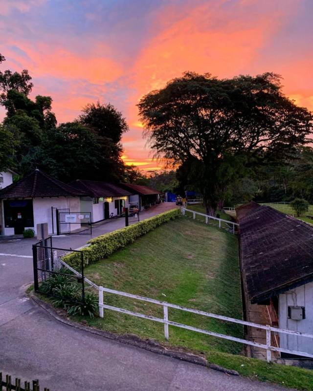 新加坡隐世咖啡厅!藏在马场里的Riders Cafe🐎 来一场慵懒偷闲早午餐,治愈那颗想旅游的心