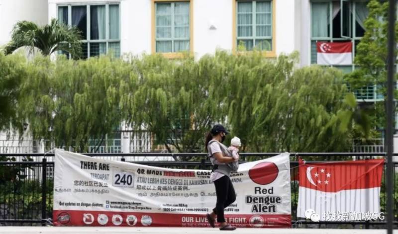 新加坡骨痛熱症首次回落三位數！但依舊“陰魂不散”