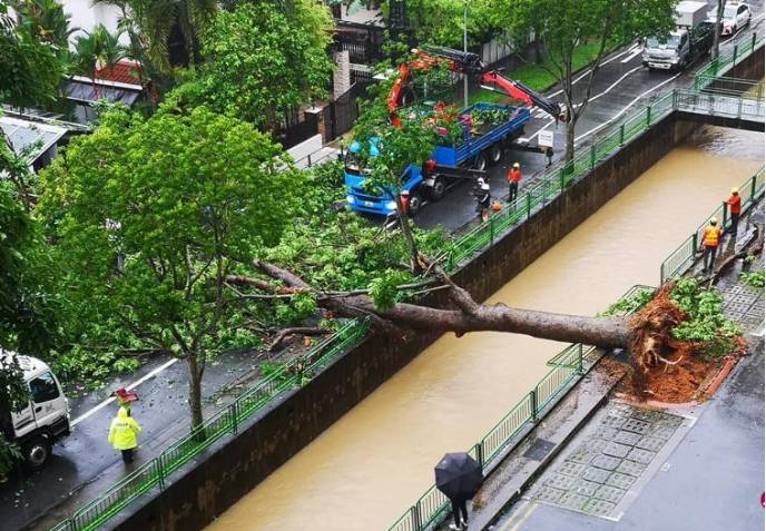 一夜入冬!新加坡30年來最潮一月!大雨還要持續多久