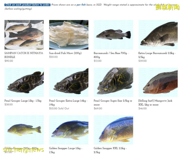最全整理!新加坡9家订海鲜网站,甜虾、生蚝、海胆、日本扇贝
