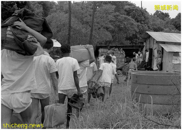 新加坡安乐岛,一个并不安乐的岛,揭开尘封已久的南洋往事