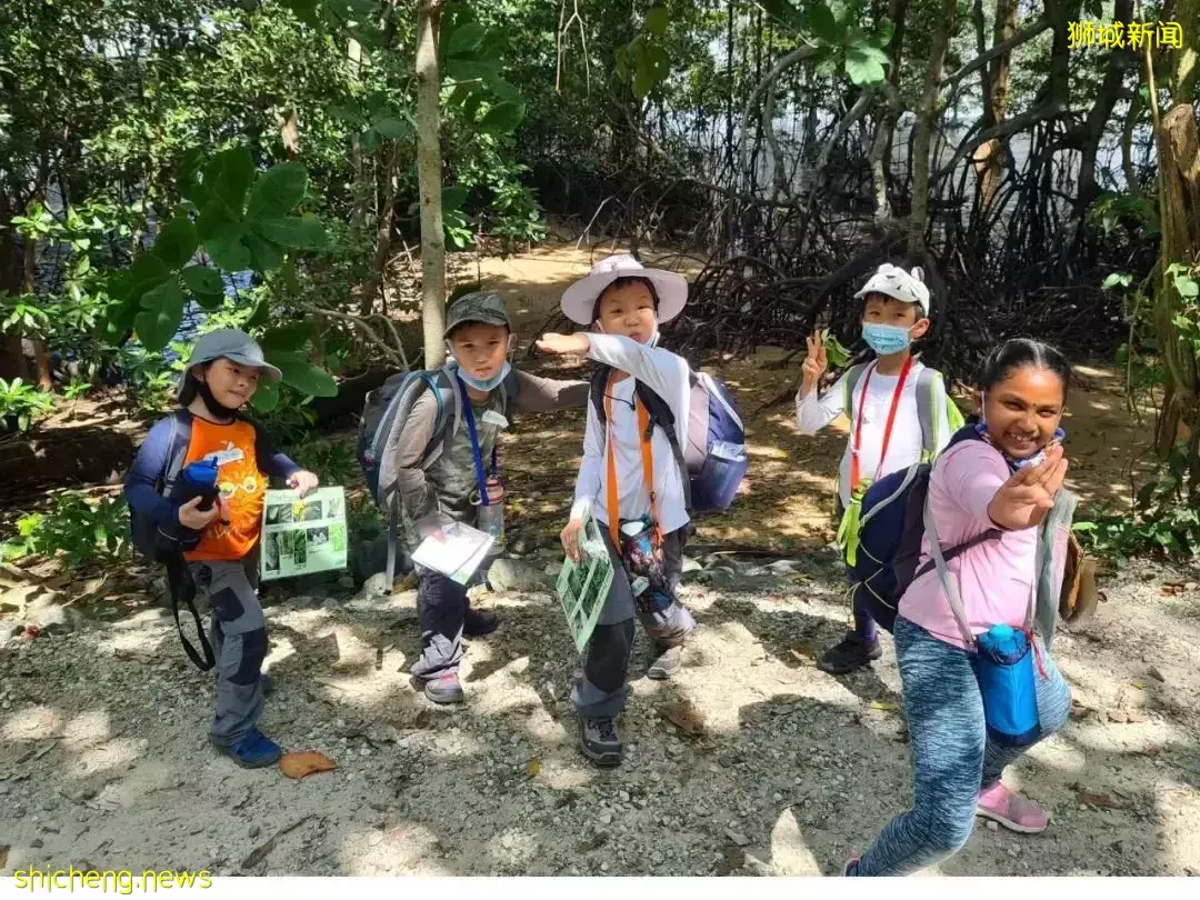 叢林探險、生存挑戰！新加坡戶外學校的6大假期營超級寶藏