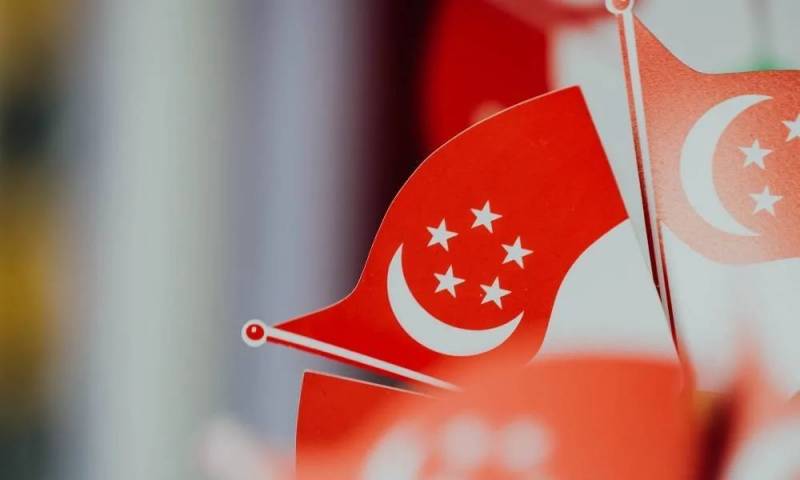 新加坡,另类致富路