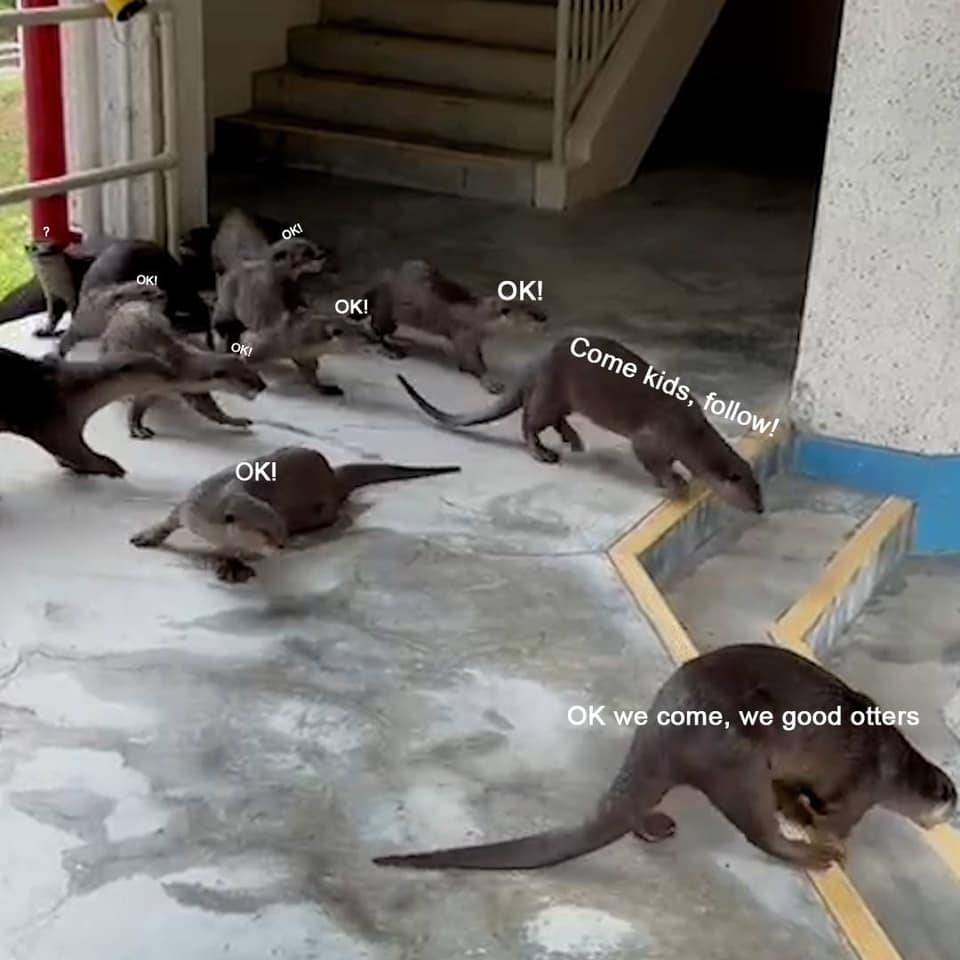 水獭家族参观教育部大楼,被保安大哥耐心劝走