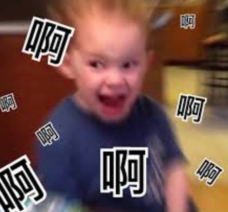 突發！這個海灘驚現一群巨型椰子蟹，還搶燒烤吃！新加坡也被鳄魚、蜥蜴、蟒蛇、水獺、猴子、野豬、野雞嚇到過