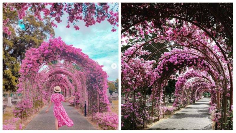 新加坡不为人知的一面