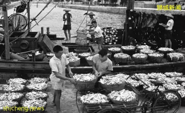 新加坡油王林恩强:从油耗子到身家18亿,又因石油负债45亿美元