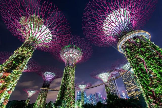 新加坡四日游攻略,带你来一场米其林级逛吃之旅