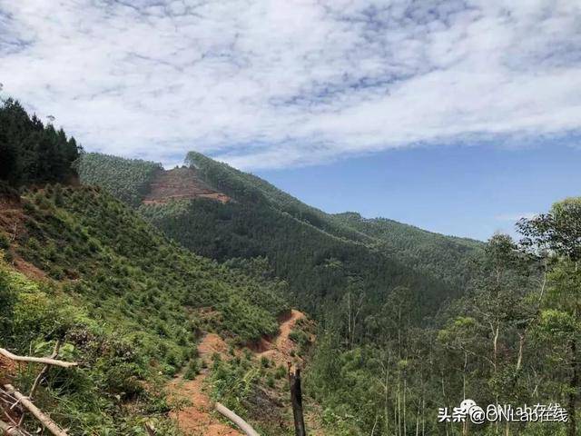 南安乐峰的新加坡国宝潘受,他的父亲竟是位“医神”