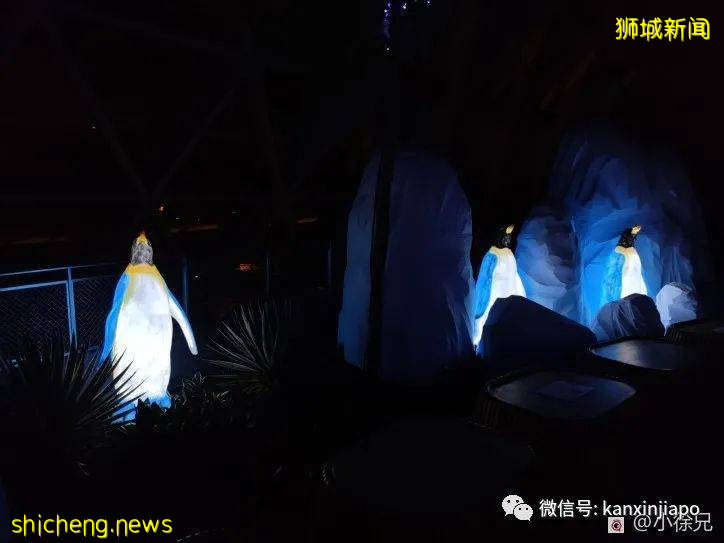 趣探樟宜奇妙之旅,吃喝玩乐一整天