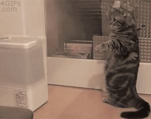 新加坡大哥坐地铁抱加湿器?网友担忧里面有新冠病毒