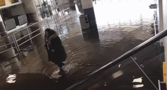 剛剛！新加坡在這方面超過美國和中國，全球第一！美國總統發帖表示不服