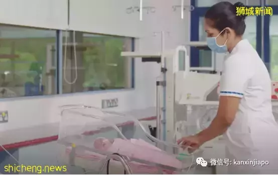 在新加坡育兒，與中國有哪些不一樣