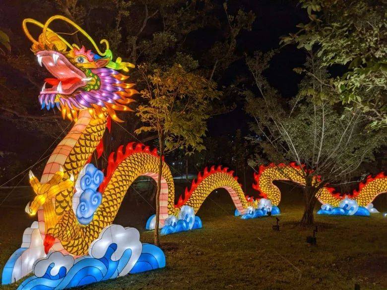 28組彩燈照亮裕廊湖花園！去新加坡世界名勝走走，期許疫情“明天會更好”